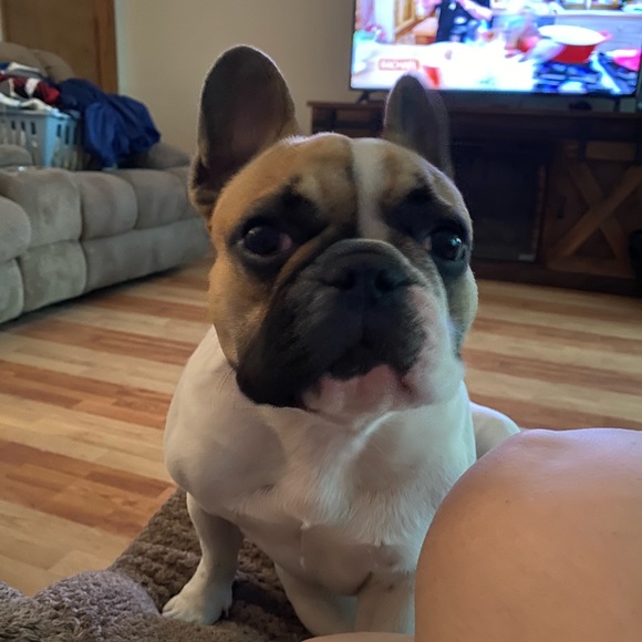 Meet your Posher, Tracy - Picture 8 of 11